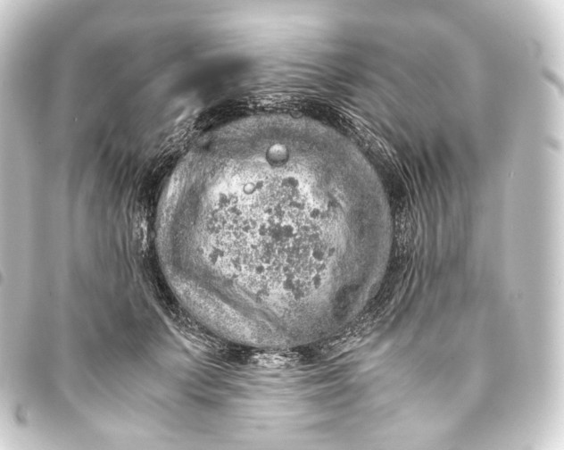 X0000093430703200711021034