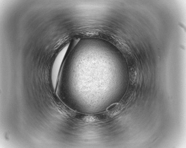 X0000093430704200711021034