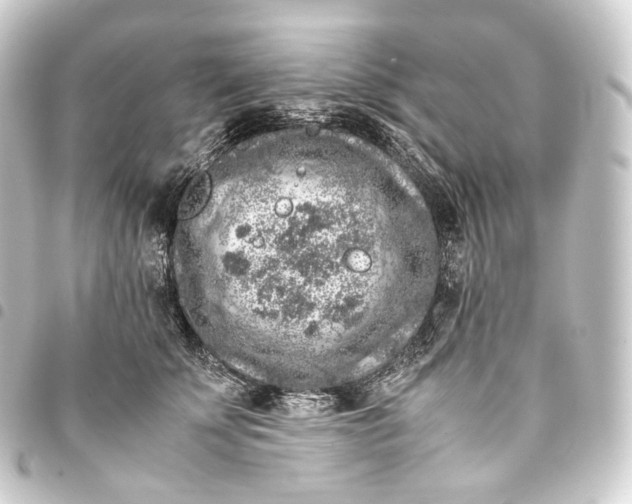 X0000093430707200711021034