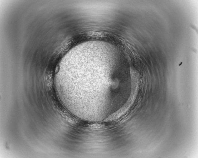 X0000093430708200711021034