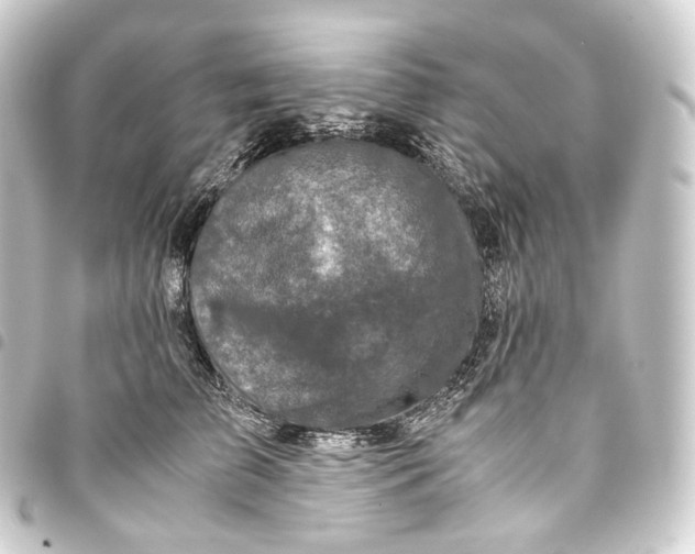 X0000093430709200711021034