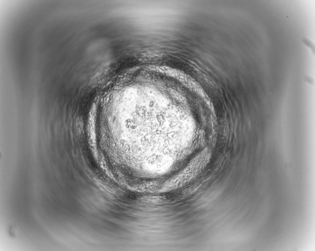 X0000093430711200711021034