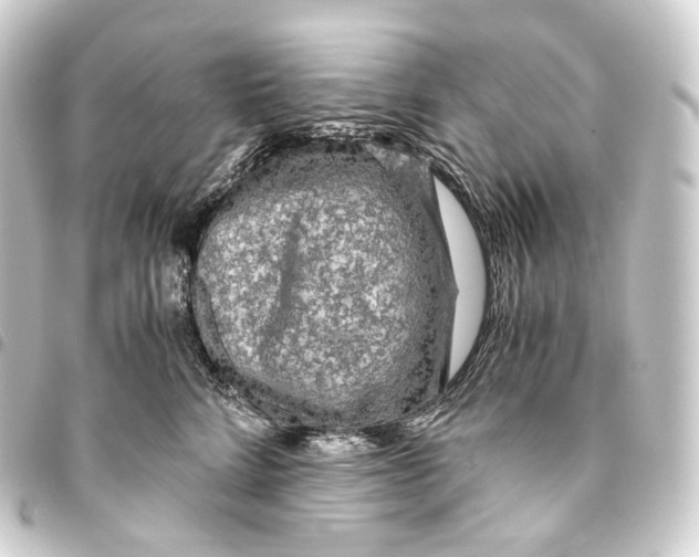 X0000093430712200711021034