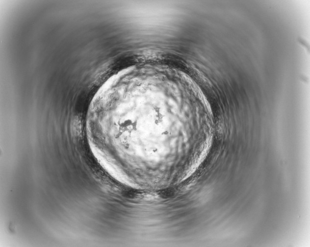 X0000093430715200711021034