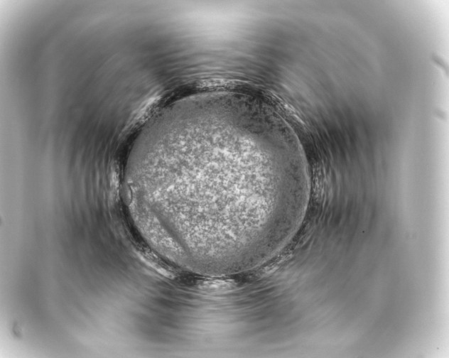 X0000093430716200711021034