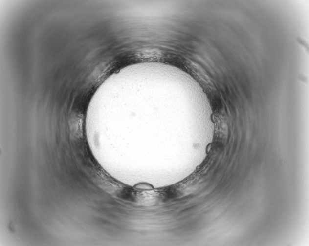 X0000093430717200711021034