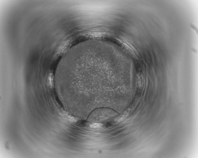 X0000093430718200711021034