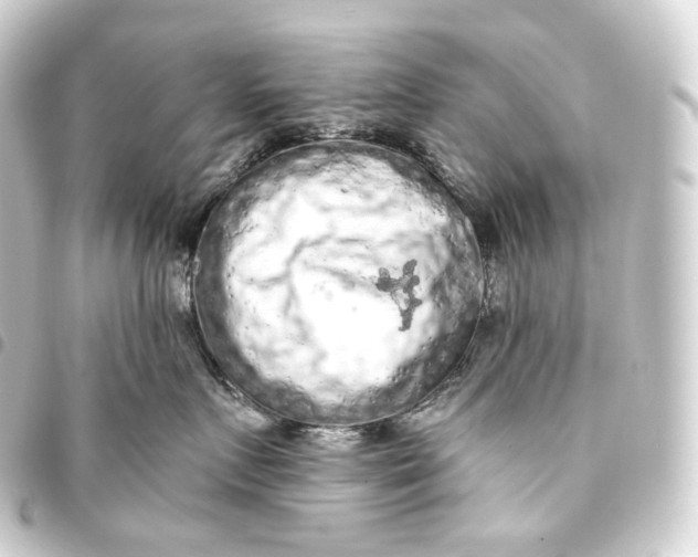 X0000093430719200711021034