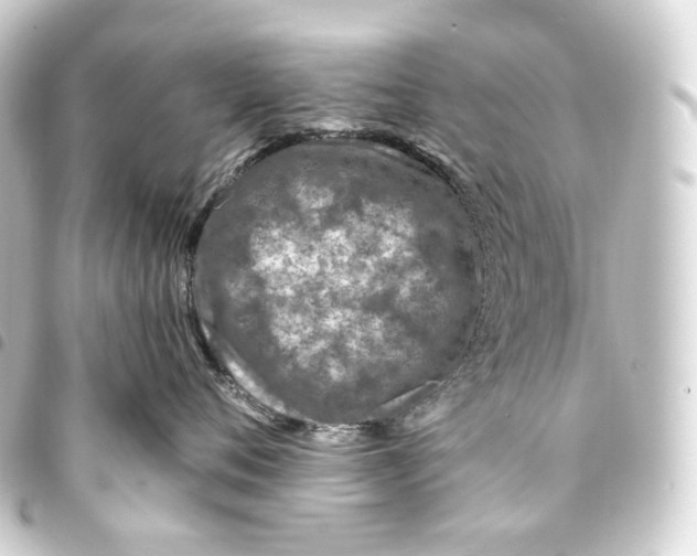 X0000093430720200711021034