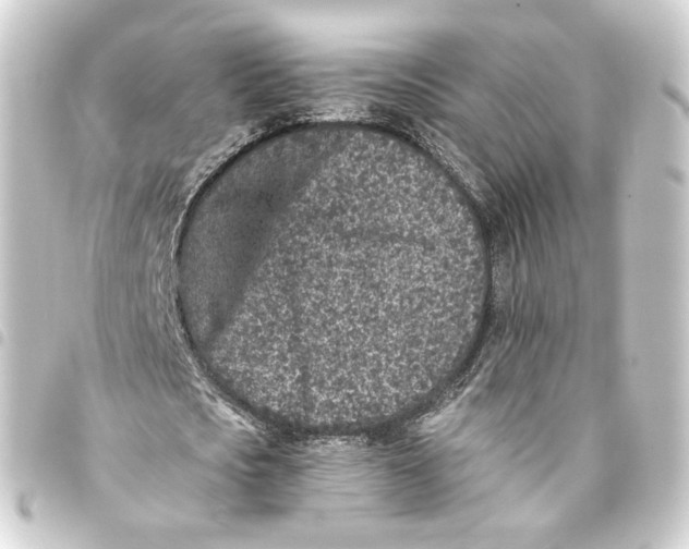 X0000093430721200711021034