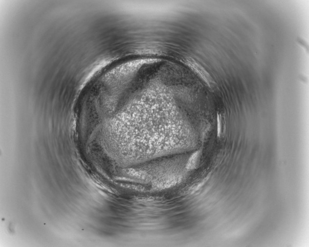 X0000093430723200711021034