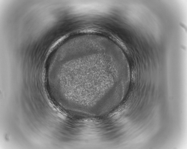 X0000093430724200711021034