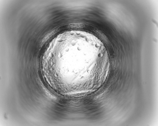 X0000093430725200711021034