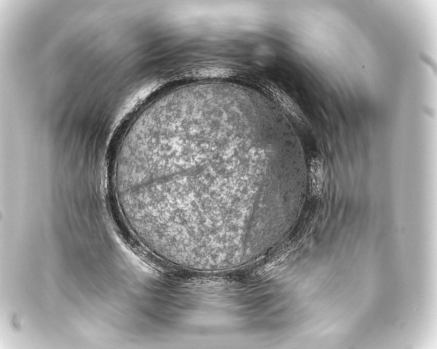 X0000093430726200711021034