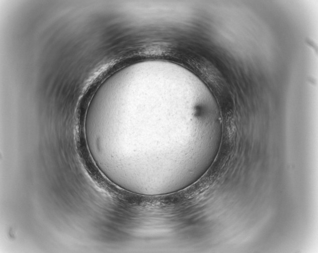 X0000093430728200711021034