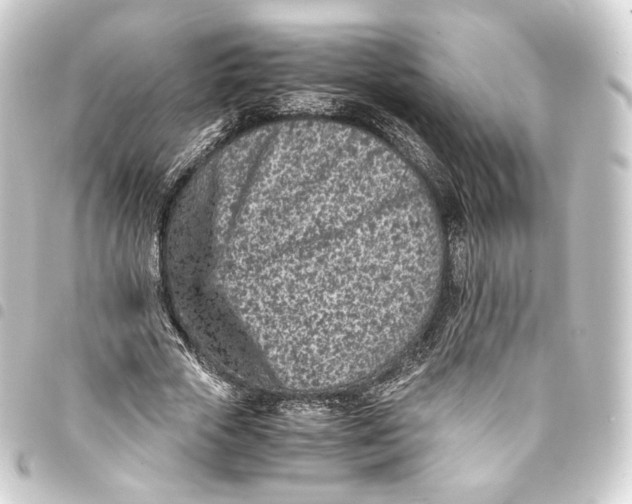 X0000093430729200711021034