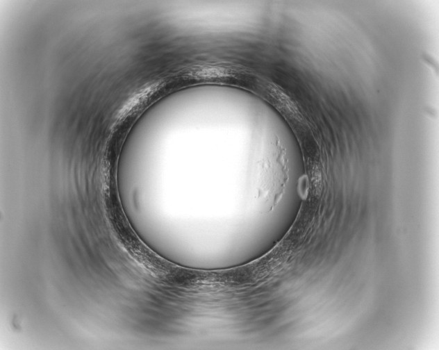 X0000093430732200711021034