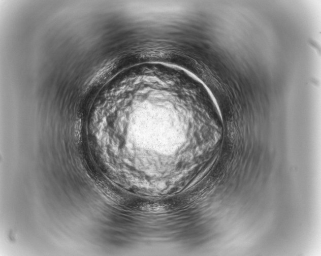 X0000093430735200711021034