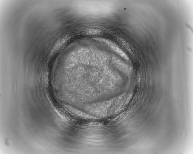 X0000093430736200711021034