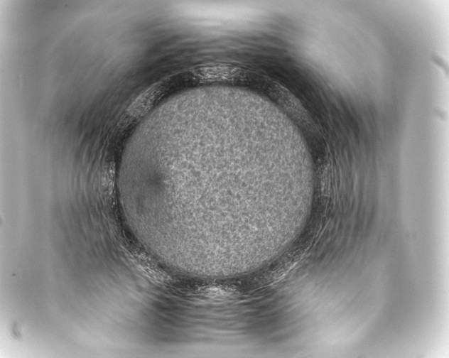 X0000093430737200711021034