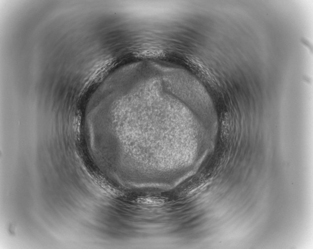 X0000093430739200711021034