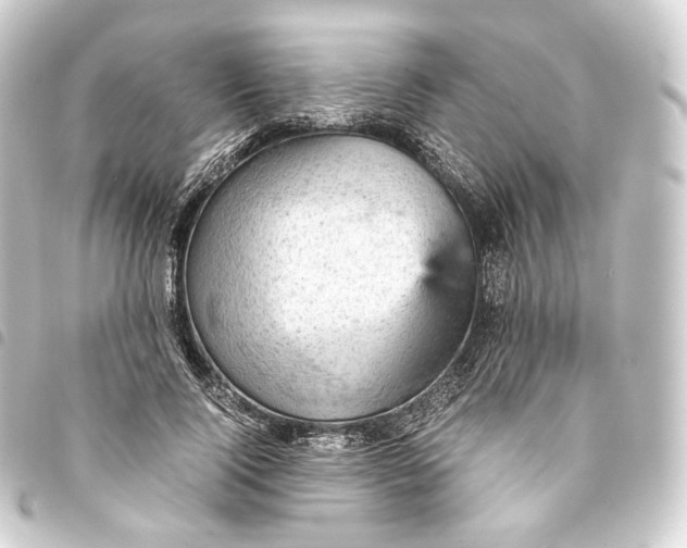 X0000093430740200711021034