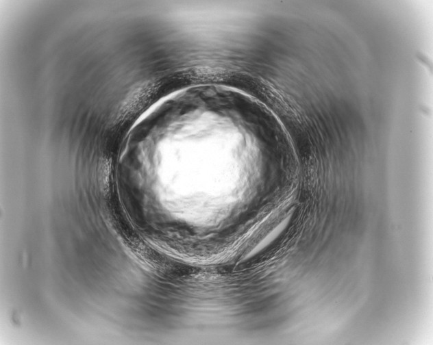 X0000093430742200711021034