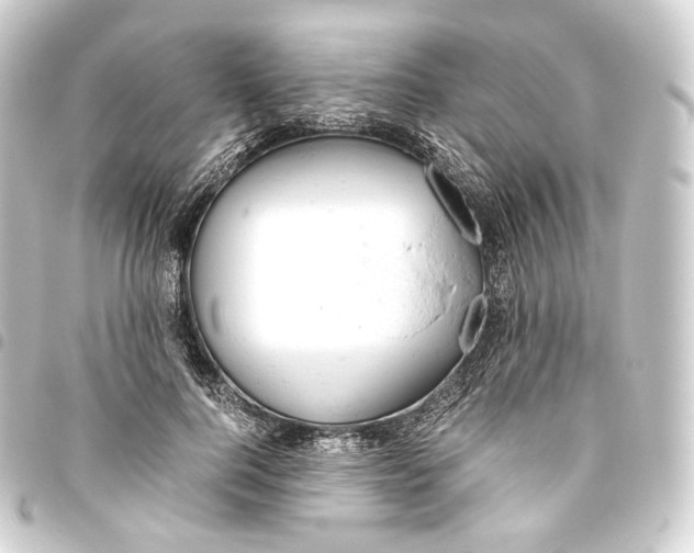 X0000093430744200711021034