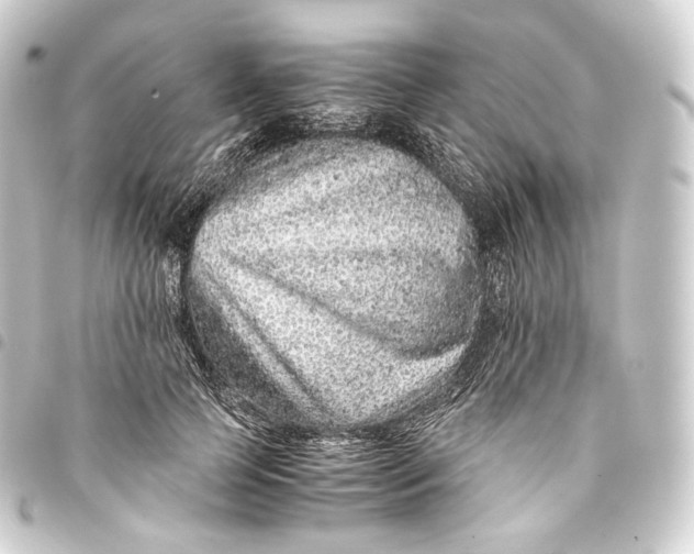 X0000093430745200711021034