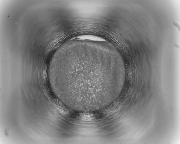 X0000093430746200711021034