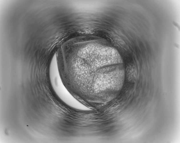 X0000093430747200711021034