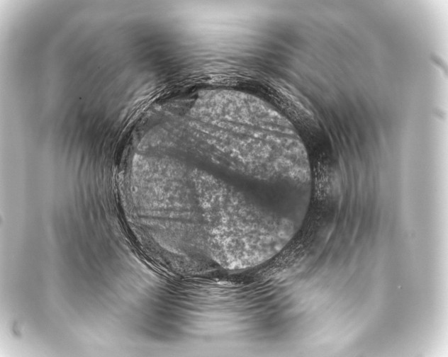 X0000093430748200711021034