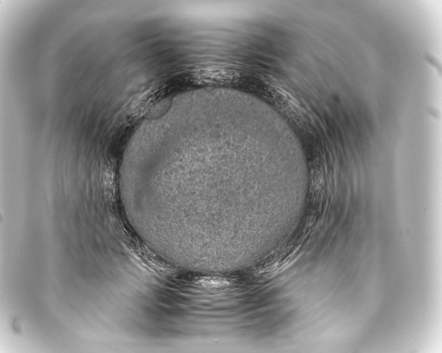 X0000093430749200711021034