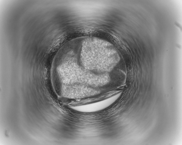 X0000093430750200711021034