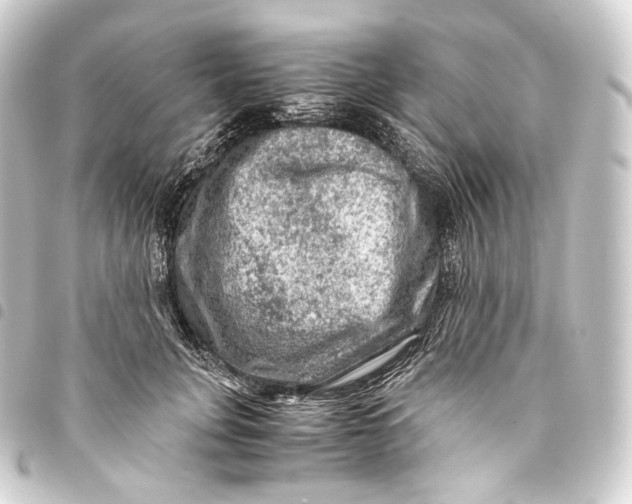 X0000093430751200711021034