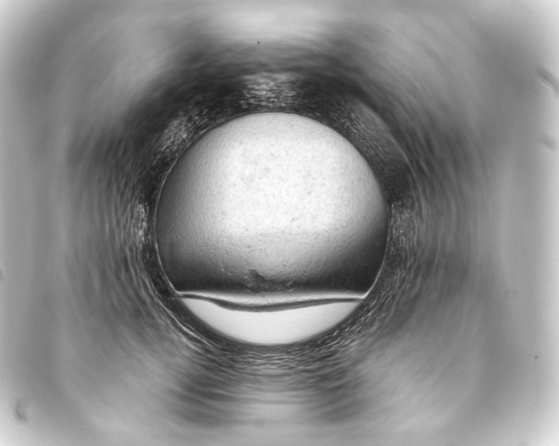 X0000093430752200711021034