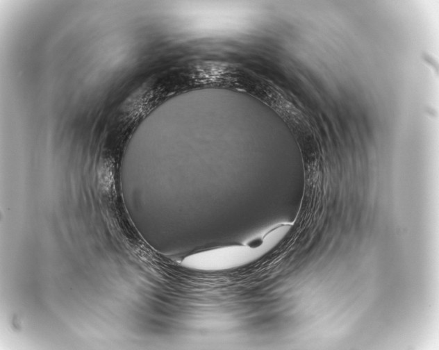 X0000093430754200711021034