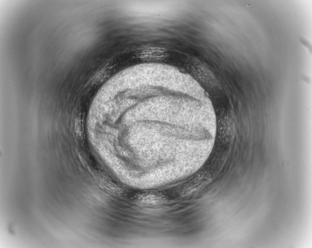 X0000093430755200711021034