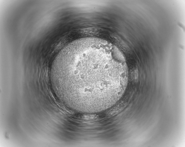 X0000093430757200711021034