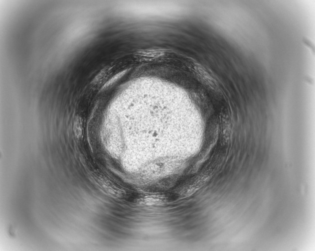 X0000093430758200711021034