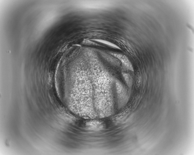 X0000093430759200711021034