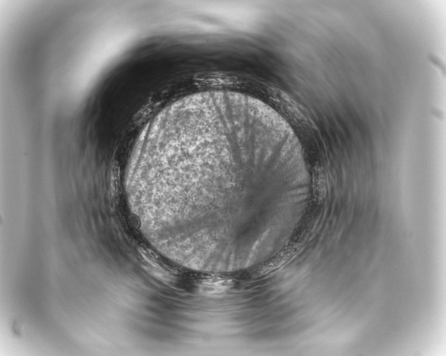 X0000093430760200711021034