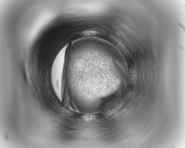 X0000093430762200711021034