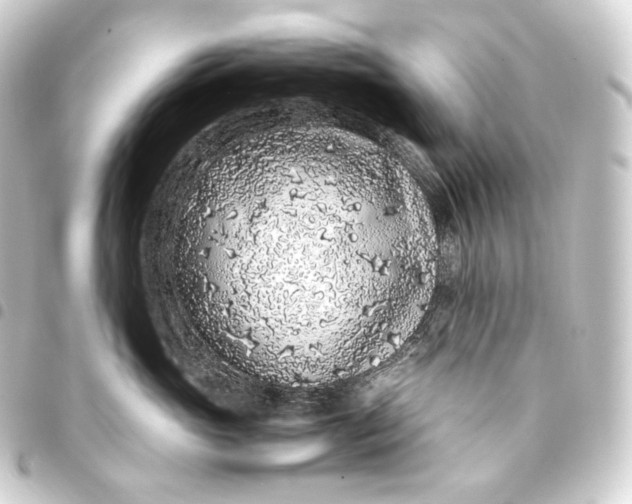 X0000093430765200711021034