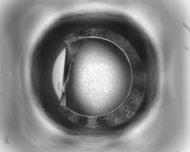 X0000093430766200711021034