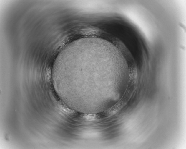 X0000093430767200711021034