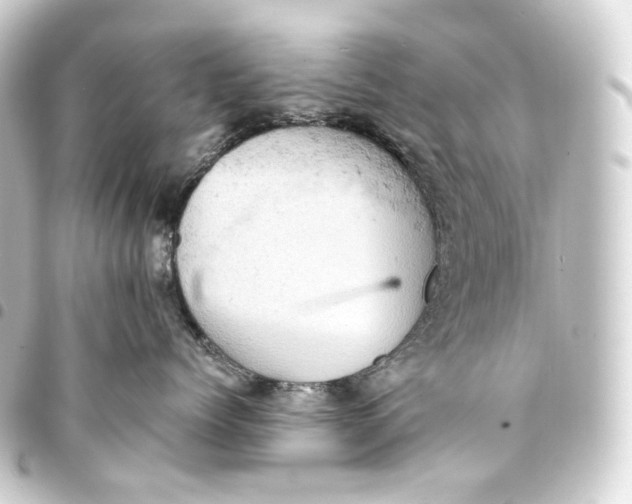 X0000093430768200711021034