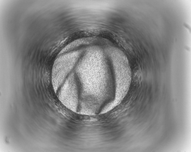 X0000093430772200711021033