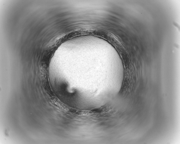 X0000093430773200711021033