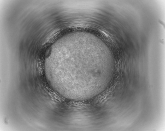 X0000093430774200711021033